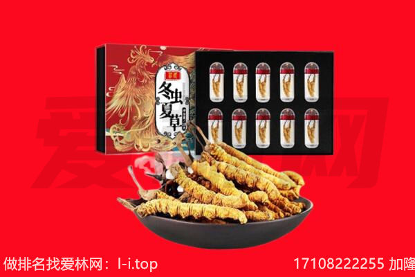 楚雄南华县回收虫草.jpg